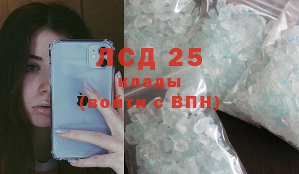 ГАЛЛЮЦИНОГЕННЫЕ ГРИБЫ Абинск