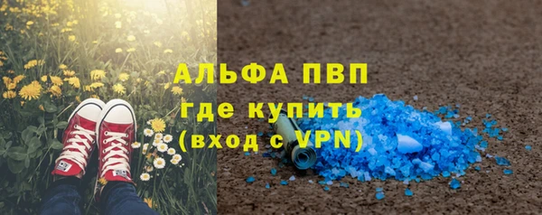 прущие грибы Аркадак